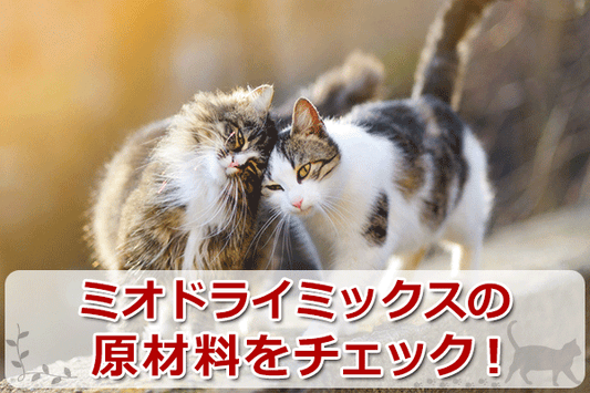 キャットフード「ミオ」ドライミックスの評判まとめ