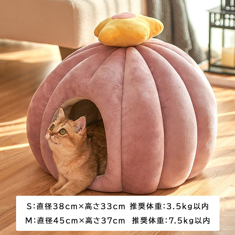 もちもちサボテンベッド 2291