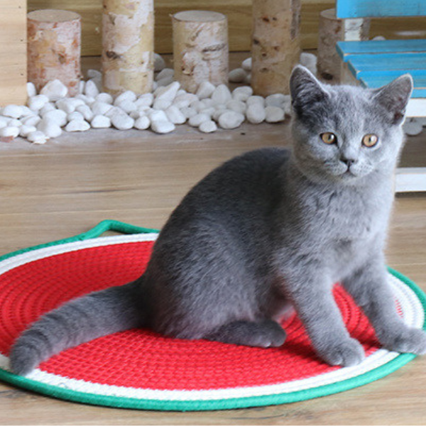 猫ちゃんの爪とぎマット 2368