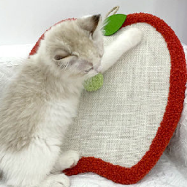 いつでもどこでも猫ちゃん爪とぎ 2364