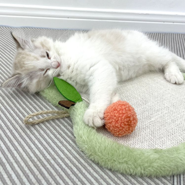 いつでもどこでも猫ちゃん爪とぎ 2364