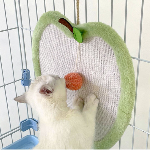 いつでもどこでも猫ちゃん爪とぎ 2364