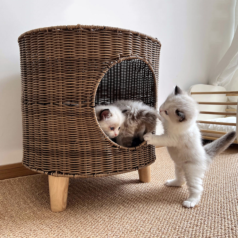ラタン×ウッドの手織りキャットハウス2447