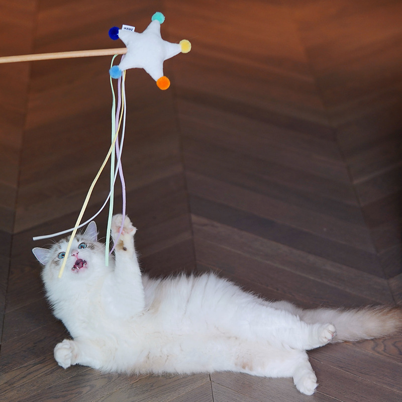 ソフトトイお空のおともだち猫じゃらし 2548