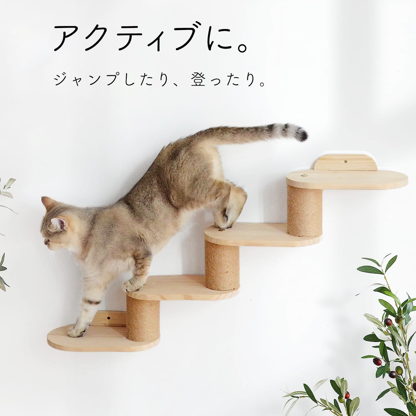 ナチュラルウッドキャットラダー 右上がり 2430