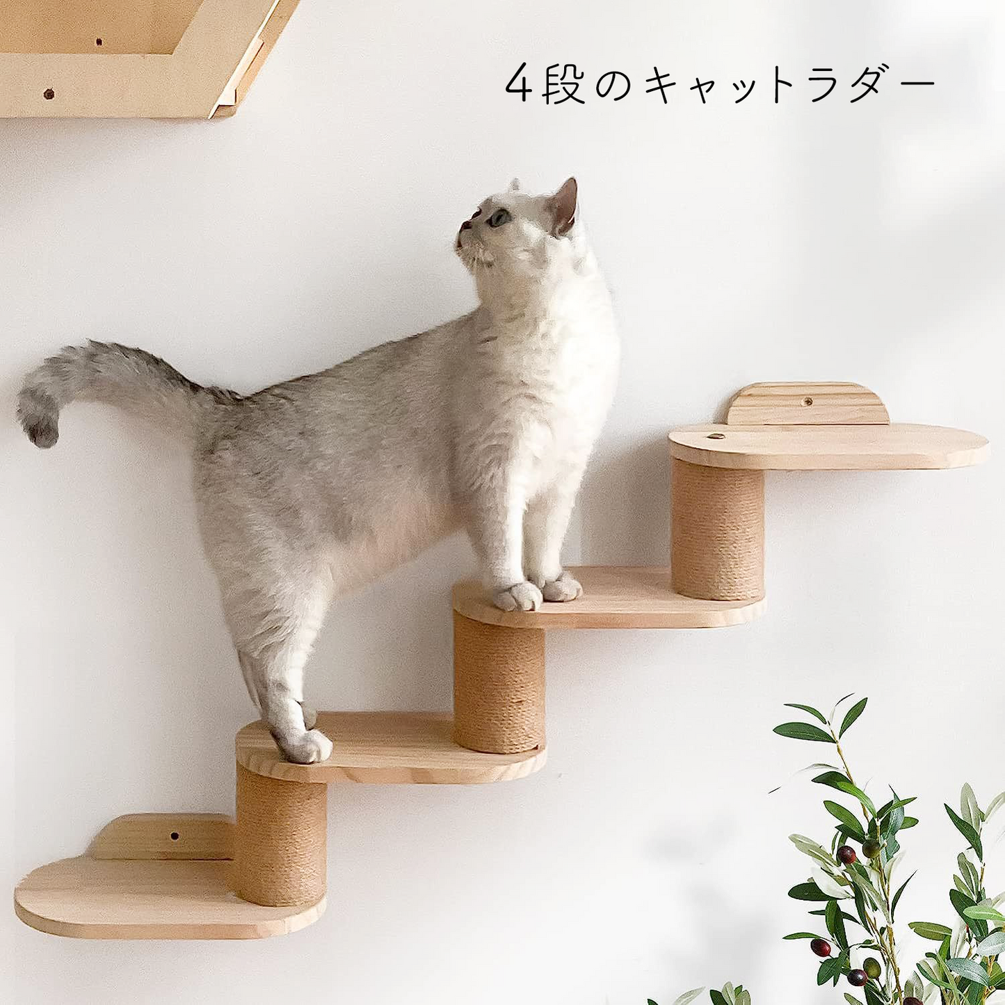 ナチュラルウッドキャットラダー 右上がり 2430