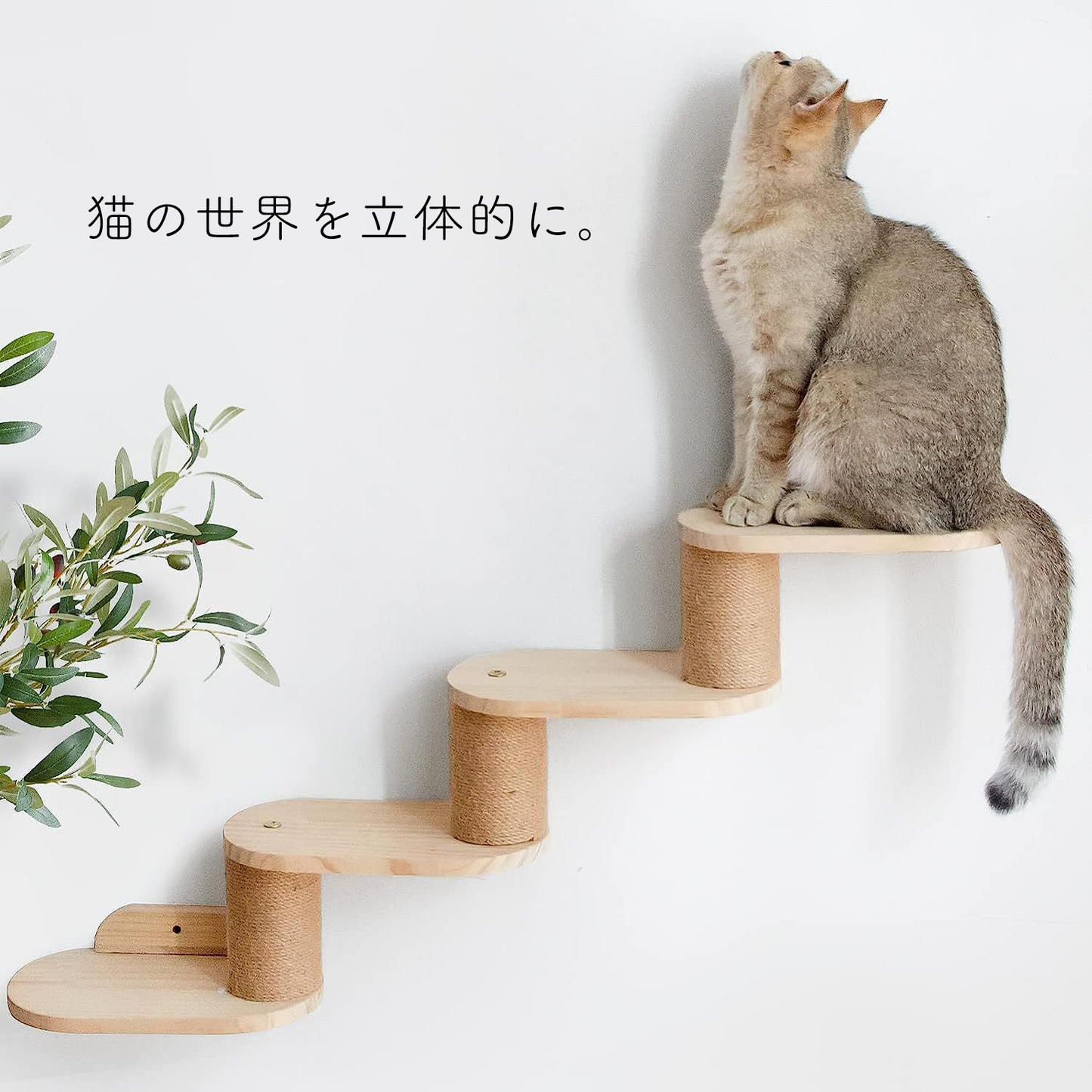 ナチュラルウッドキャットラダー 右上がり 2430
