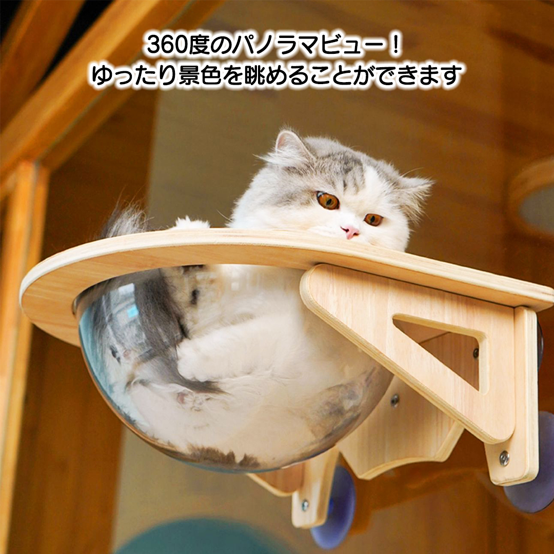 ウインドウカプセルベッド 2173
