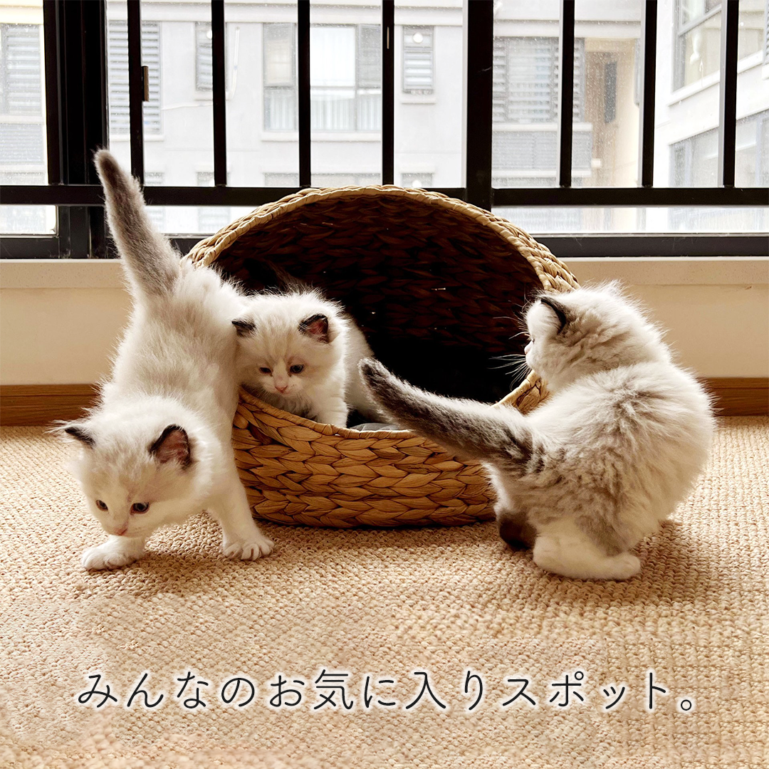 ヘリンボーン手編みボタニカルちぐら 2516