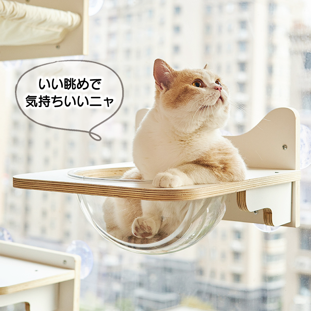ウィンドウステップ 2176