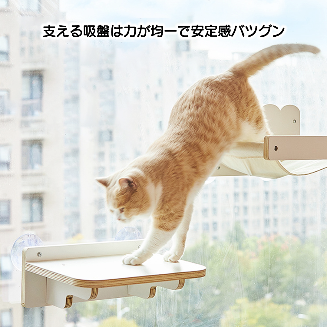 ウィンドウステップ 2176