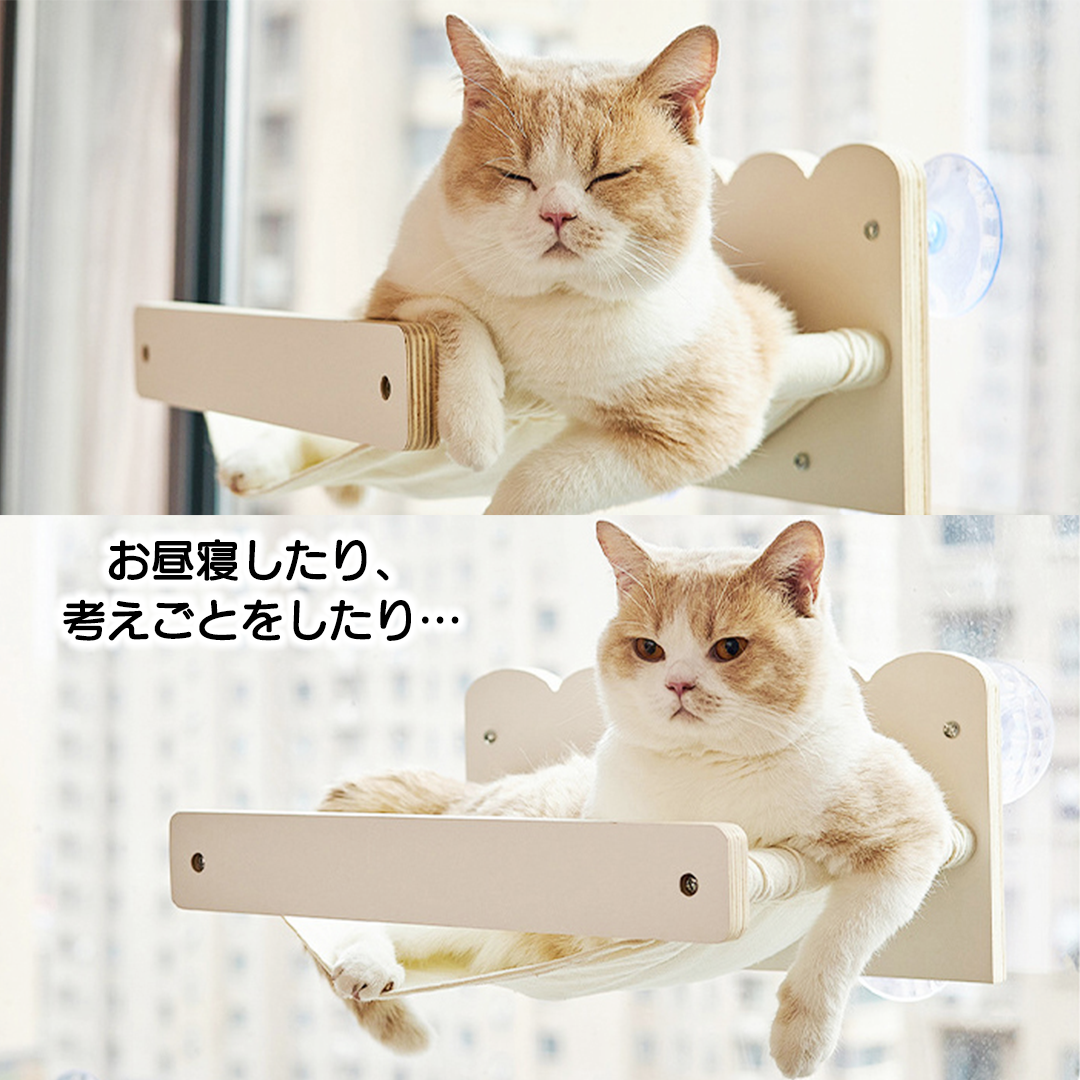 ウィンドウステップ 2176
