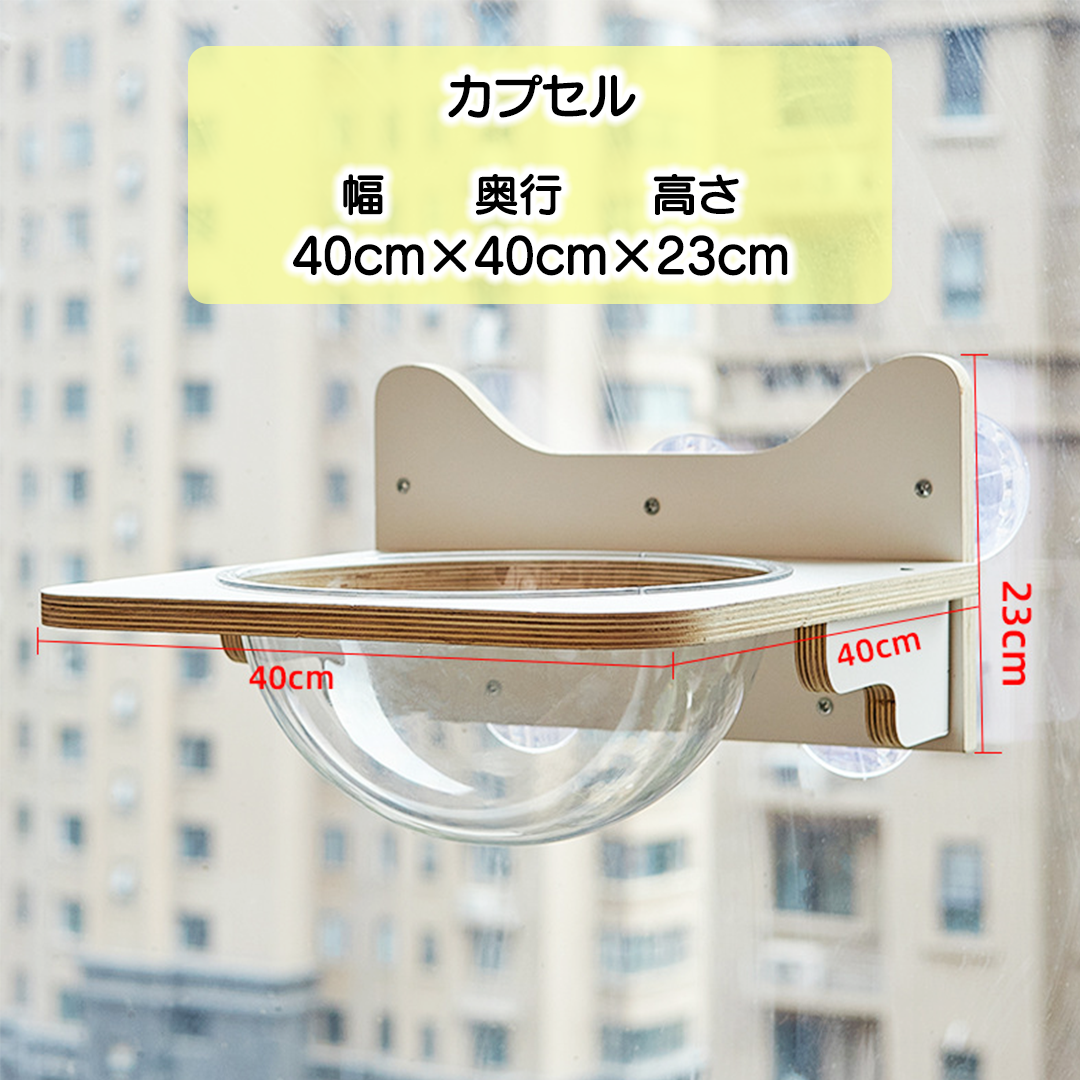 ウィンドウステップ 2176