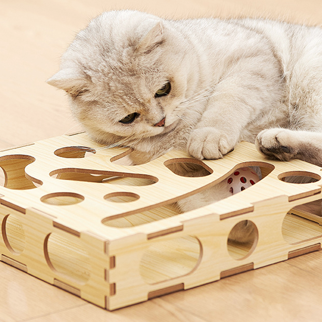 猫のおもちゃボックス 2180