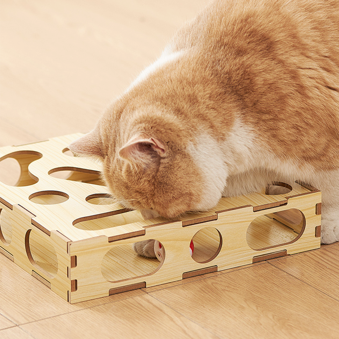 猫のおもちゃボックス 2180