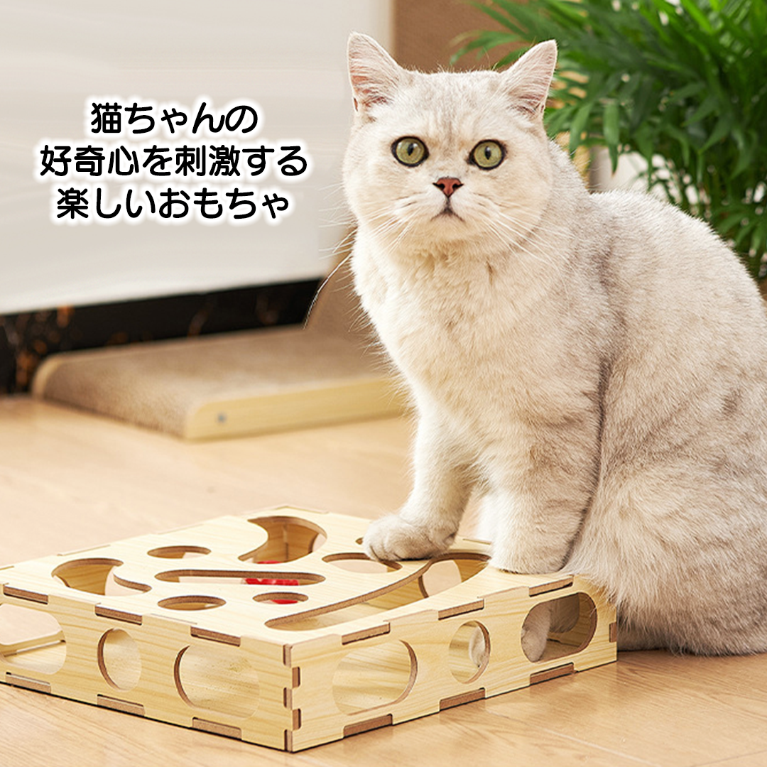 猫のおもちゃボックス 2180