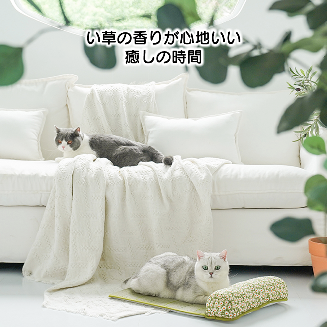 枕のサイズが選べる畳ベッド 2188