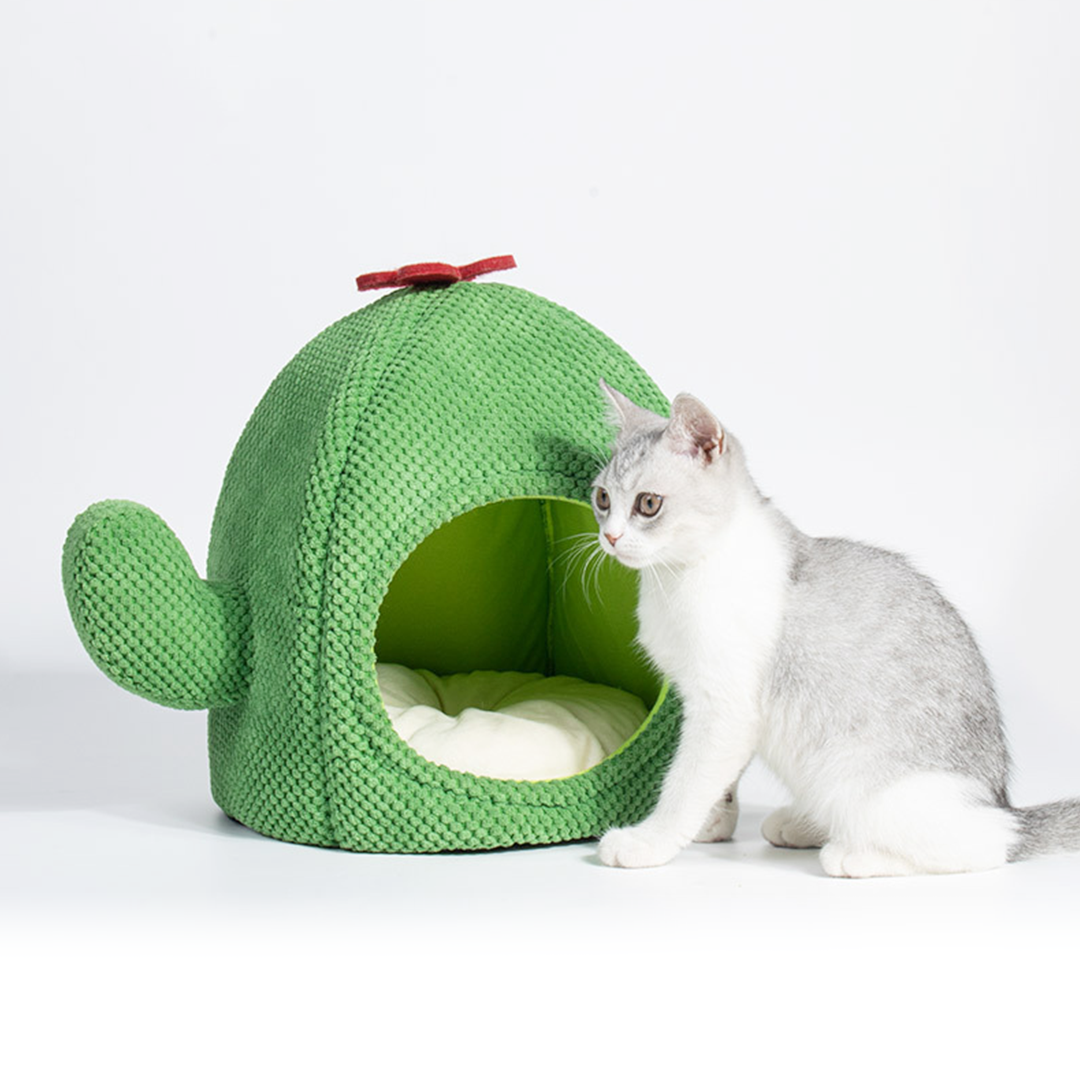 サボテン猫ハウス 2191