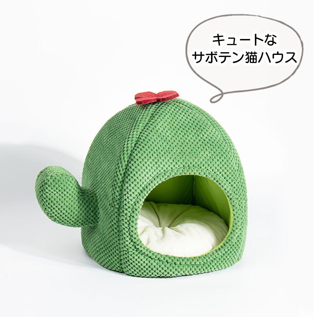 サボテン猫ハウス 2191