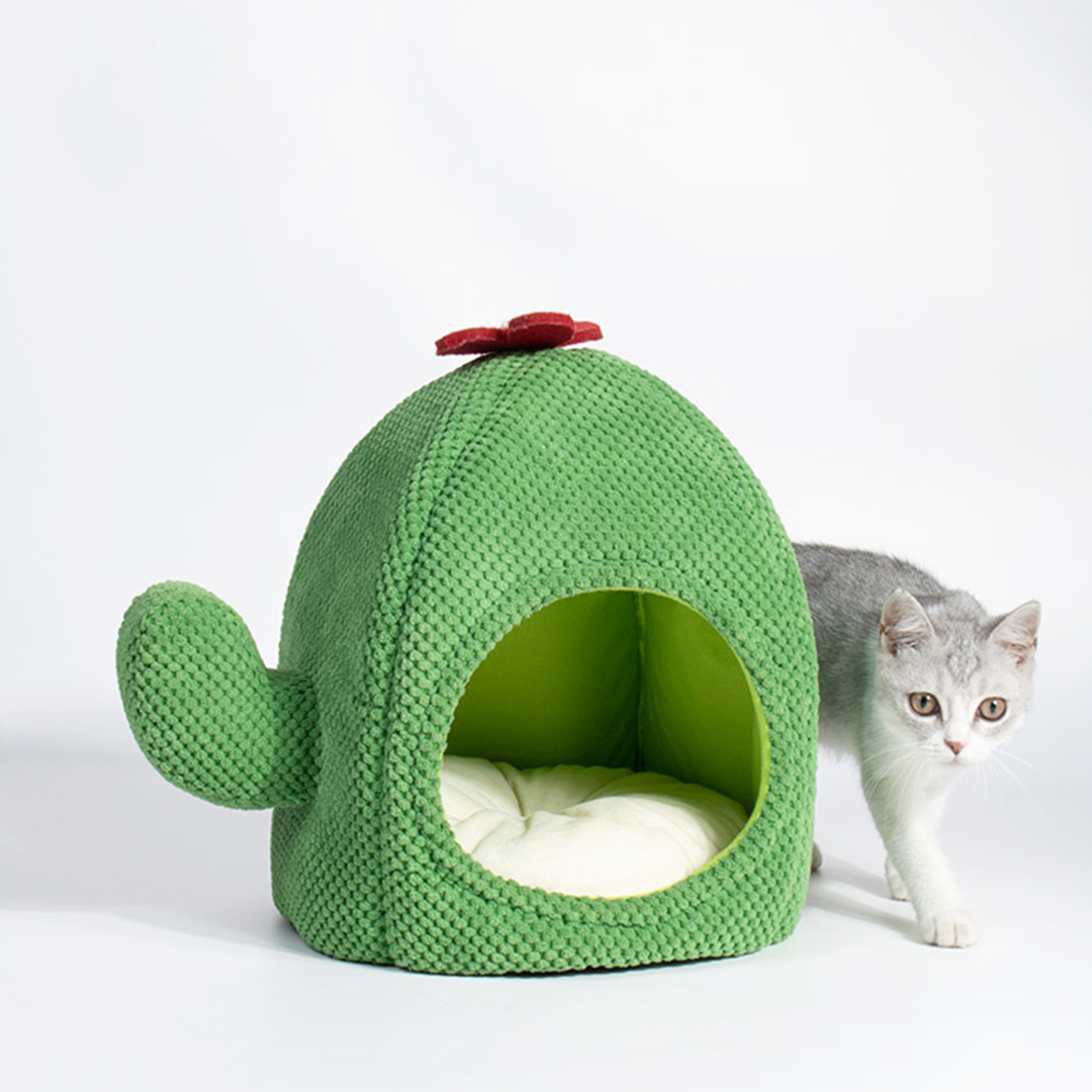 サボテン猫ハウス 2191