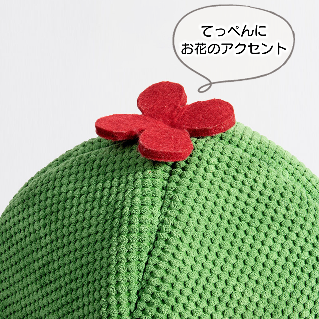 サボテン猫ハウス 2191