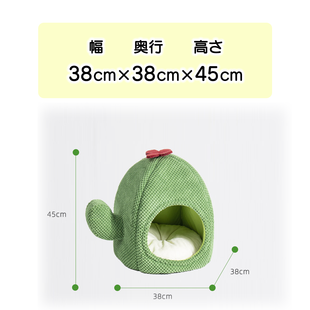 サボテン猫ハウス 2191