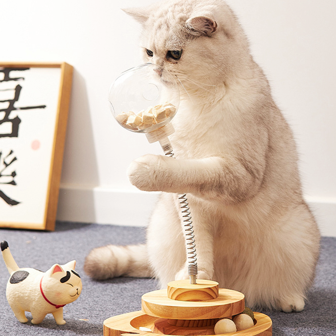 猫ちゃんの知育おもちゃ 2196