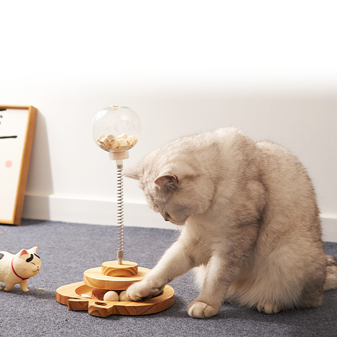 猫ちゃんの知育おもちゃ 2196