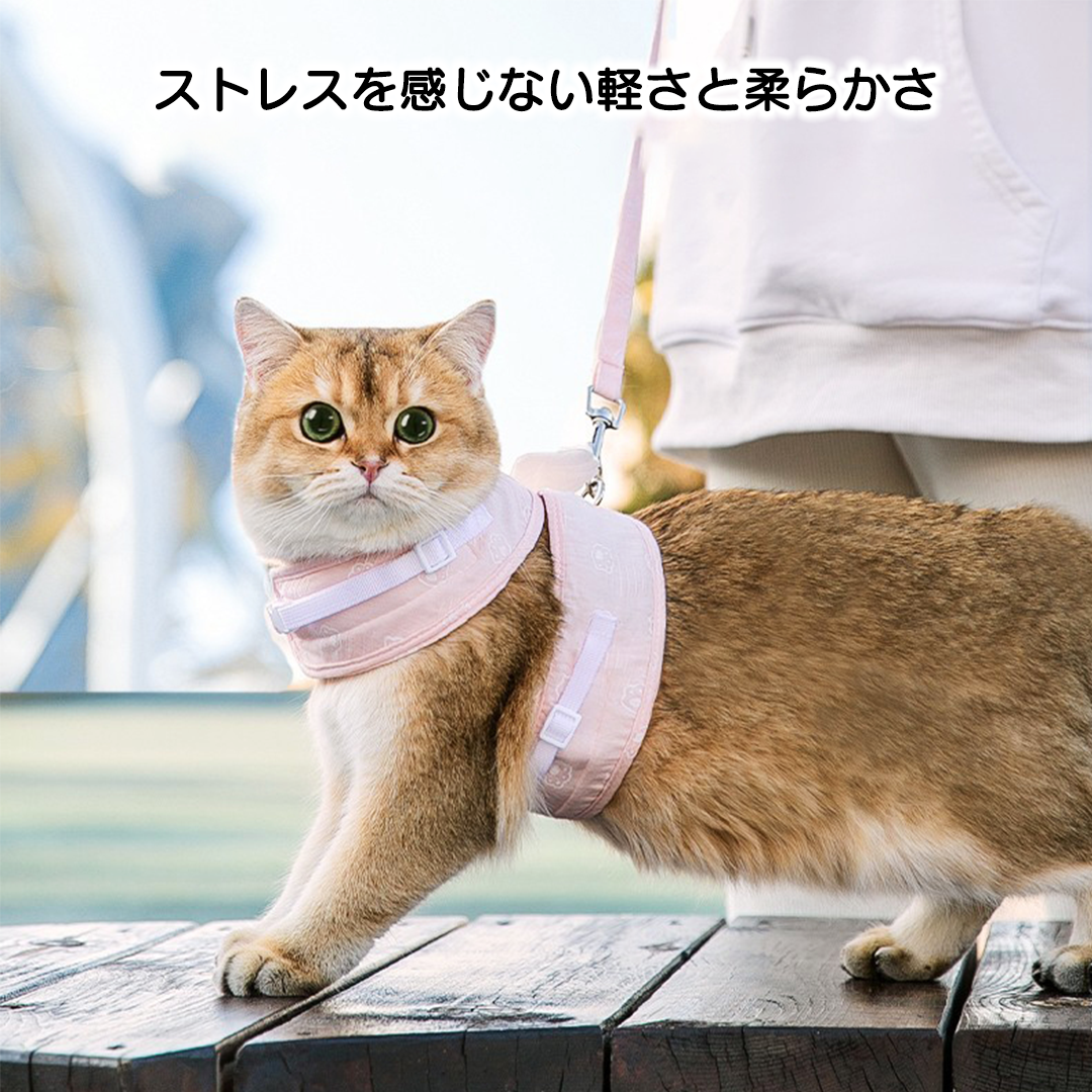 天使の羽ハーネス 2198
