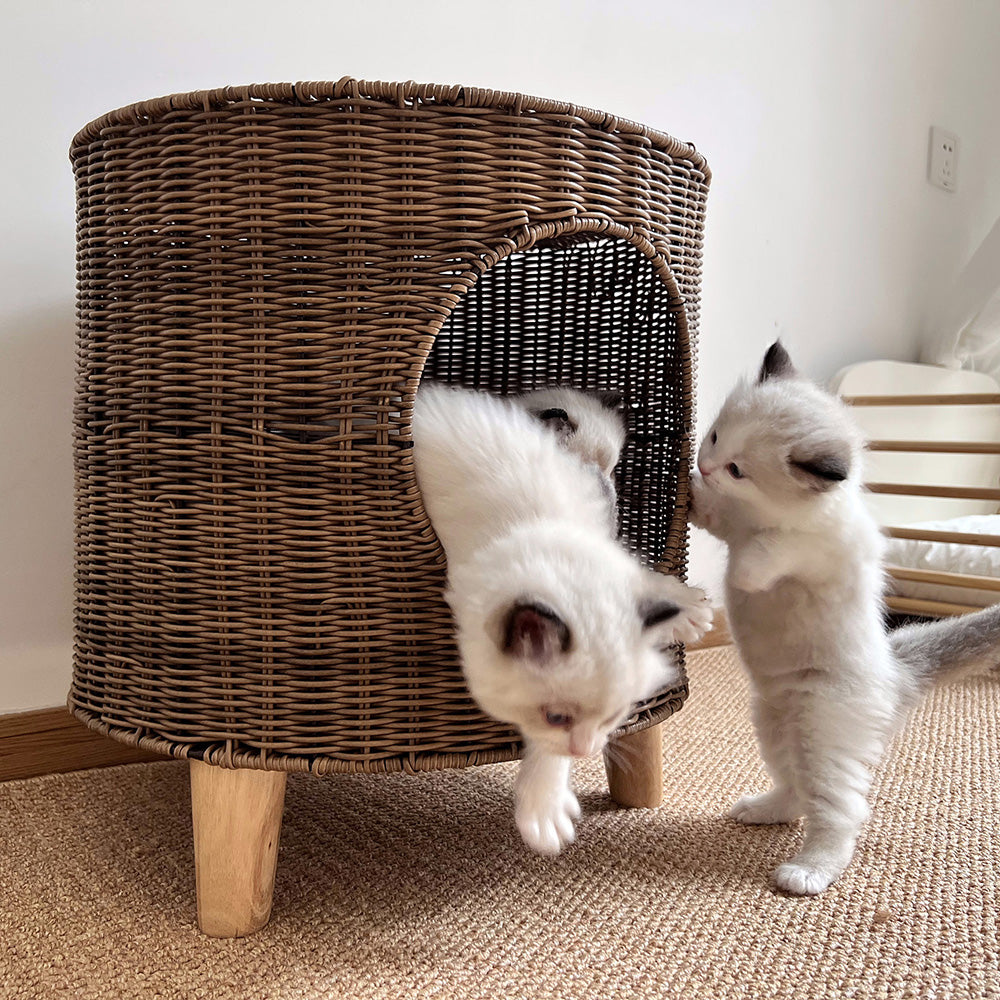 ラタン×ウッドの手織りキャットハウス2447