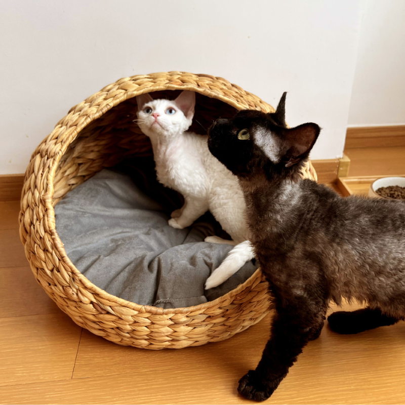 ヘリンボーン手編みボタニカルちぐら 2516