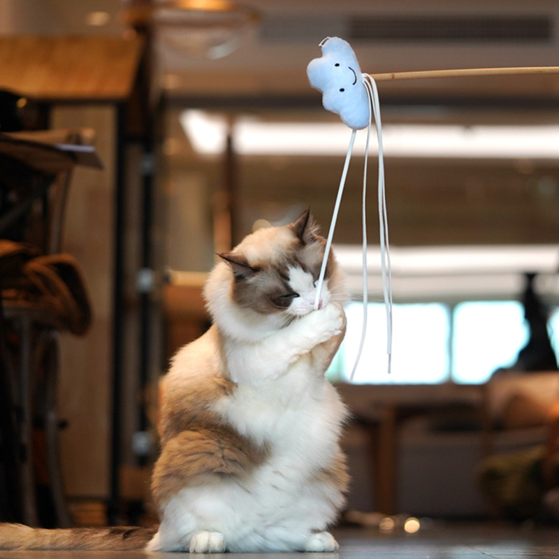 ソフトトイお空のおともだち猫じゃらし 2548