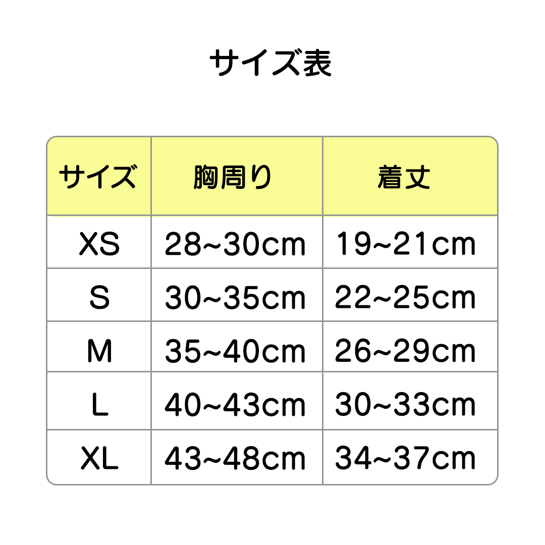 サマードットワンピース 2205
