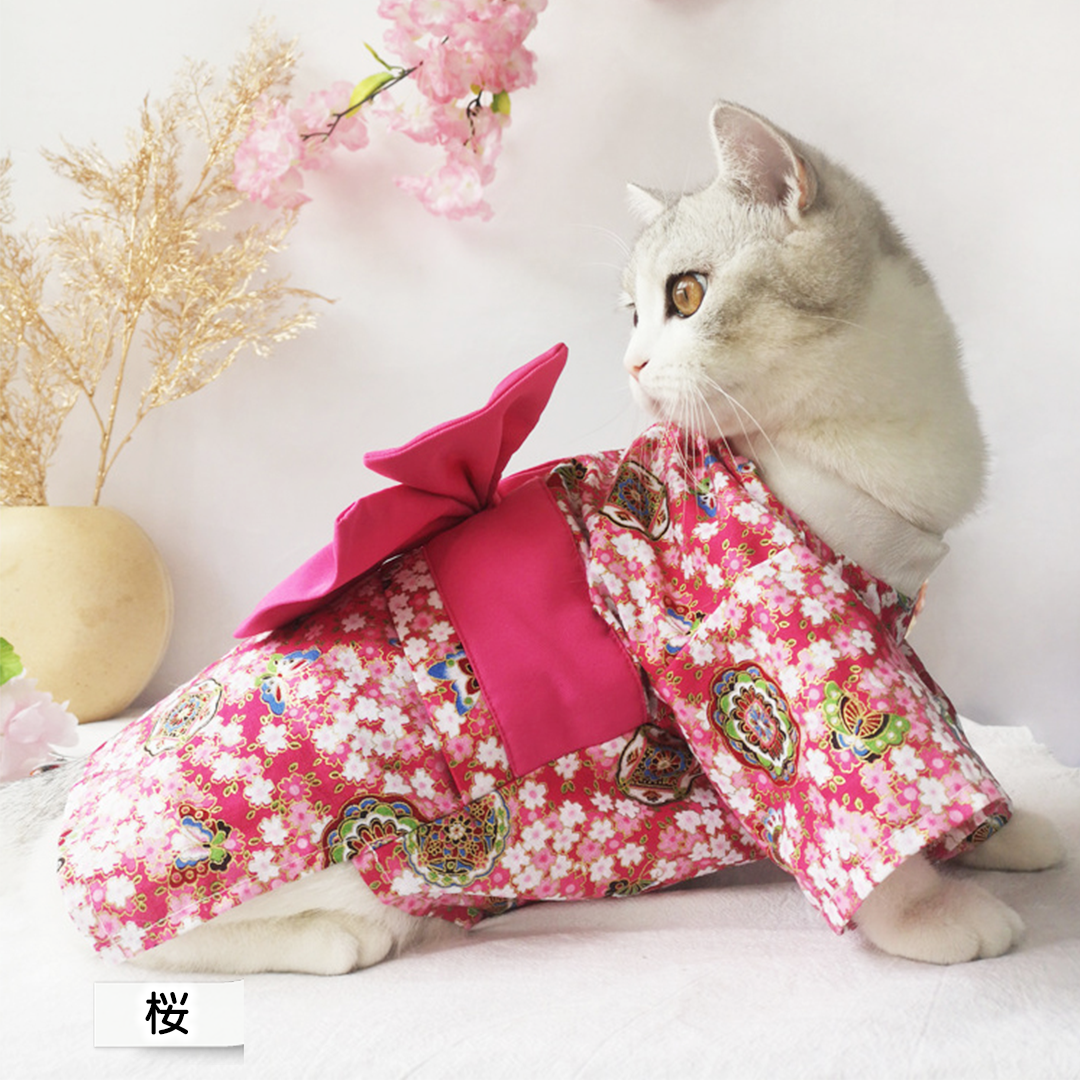 猫ちゃん振袖 2554