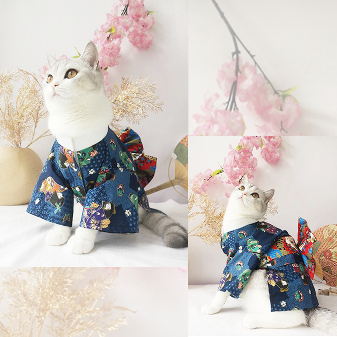 猫ちゃん振袖 2554