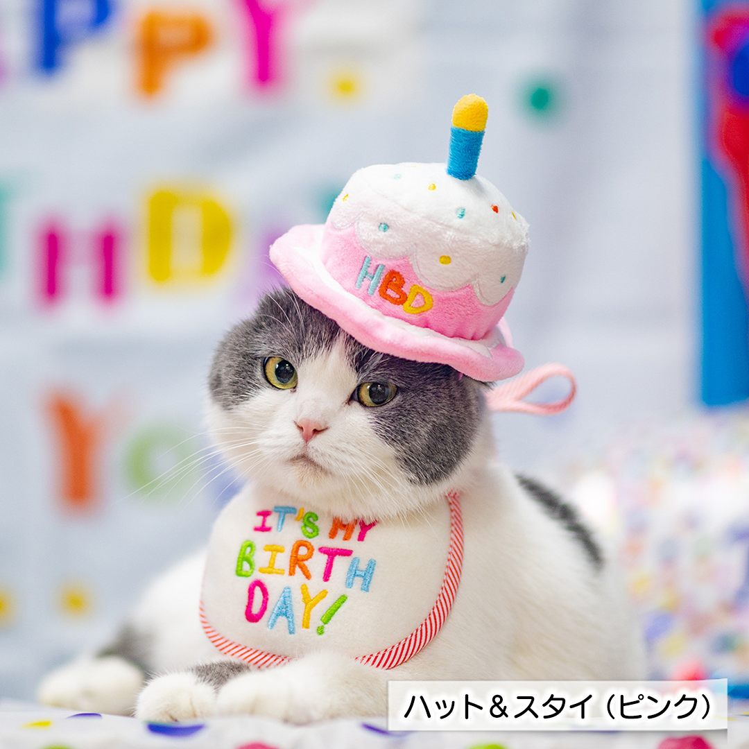 お誕生日ハット&スタイ 2222