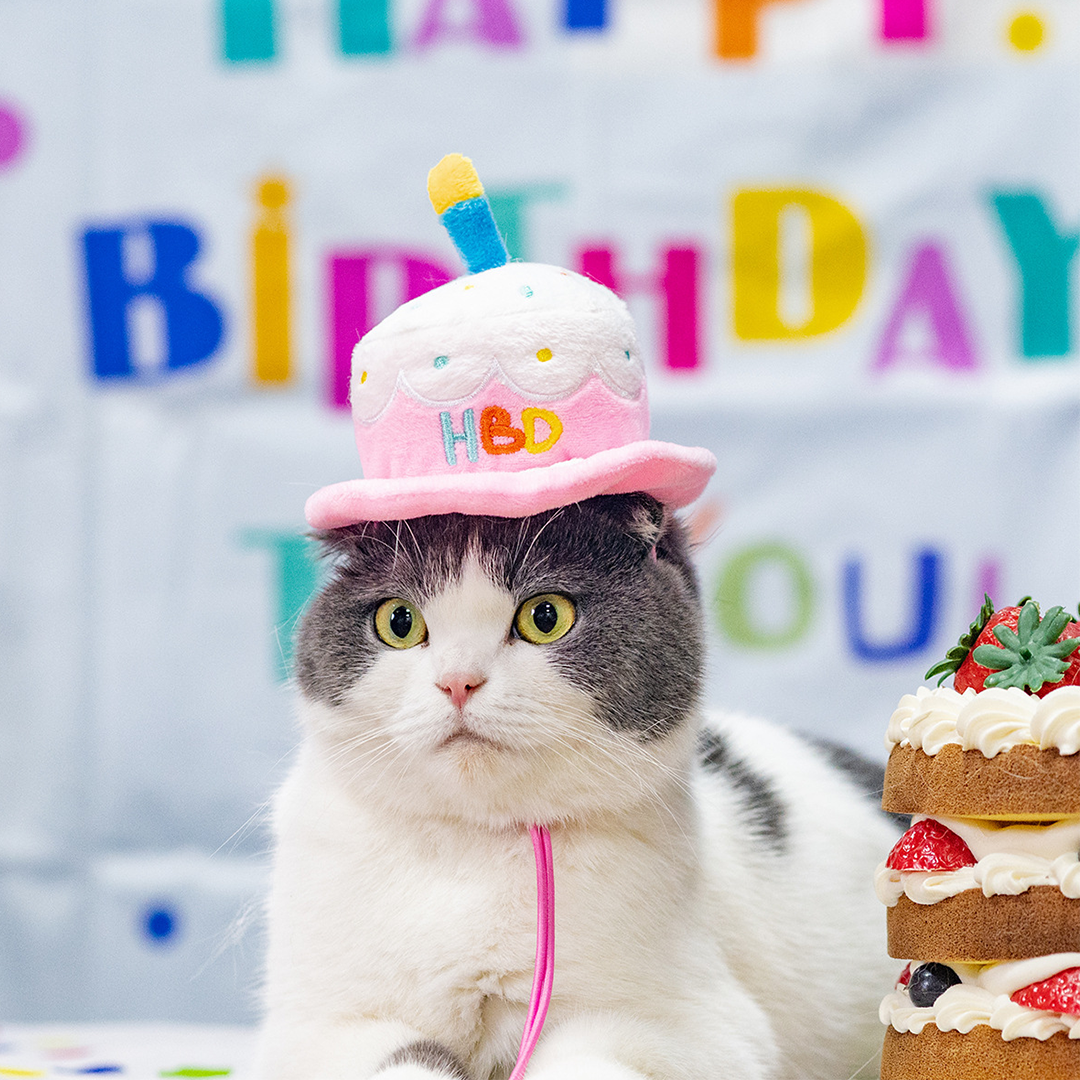 お誕生日ハット&スタイ 2222