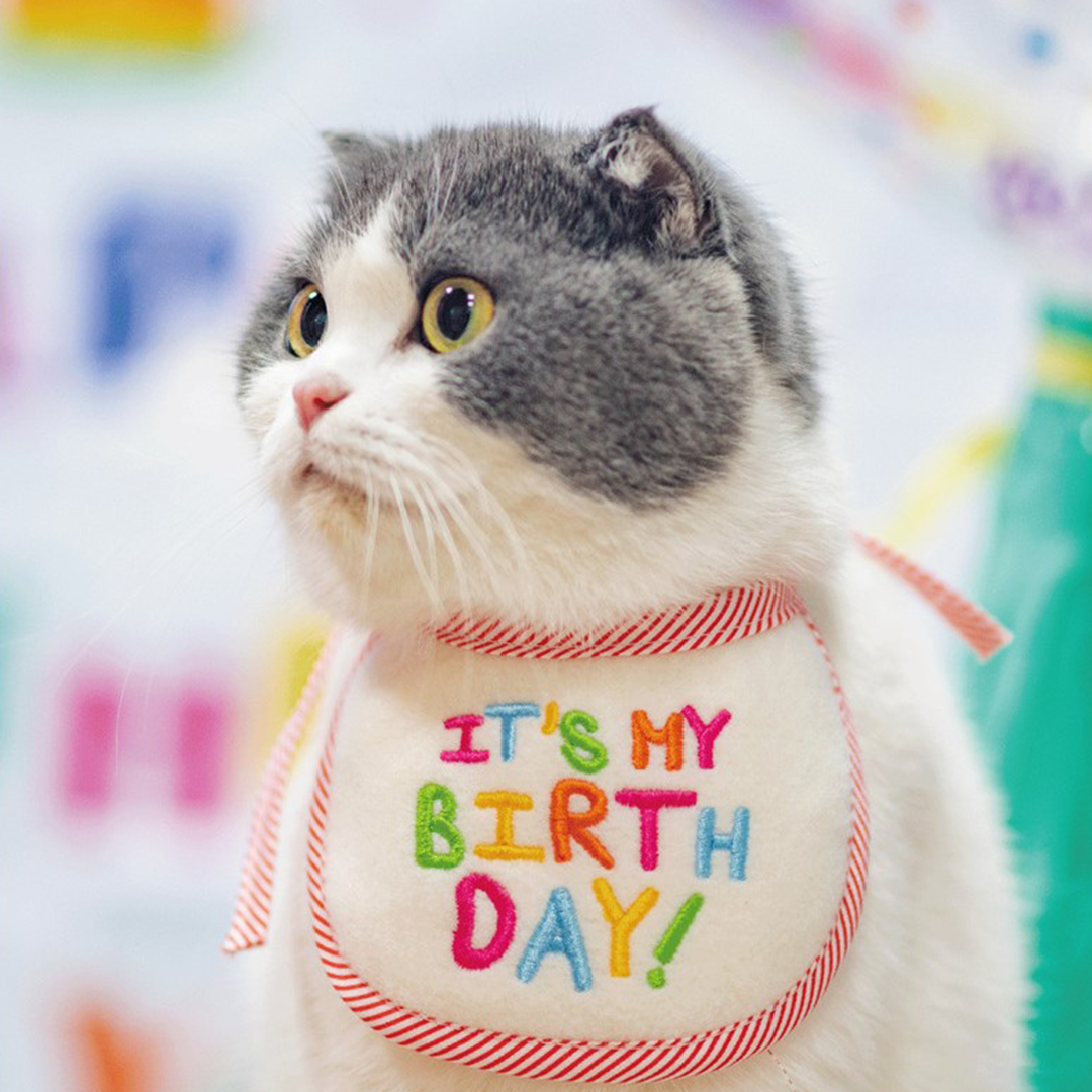 お誕生日ハット&スタイ 2222
