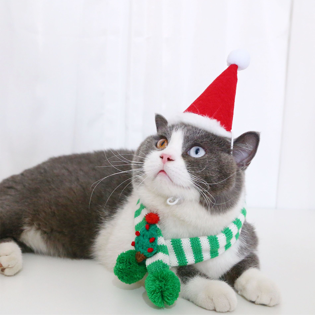 クリスマスマフラー 2226