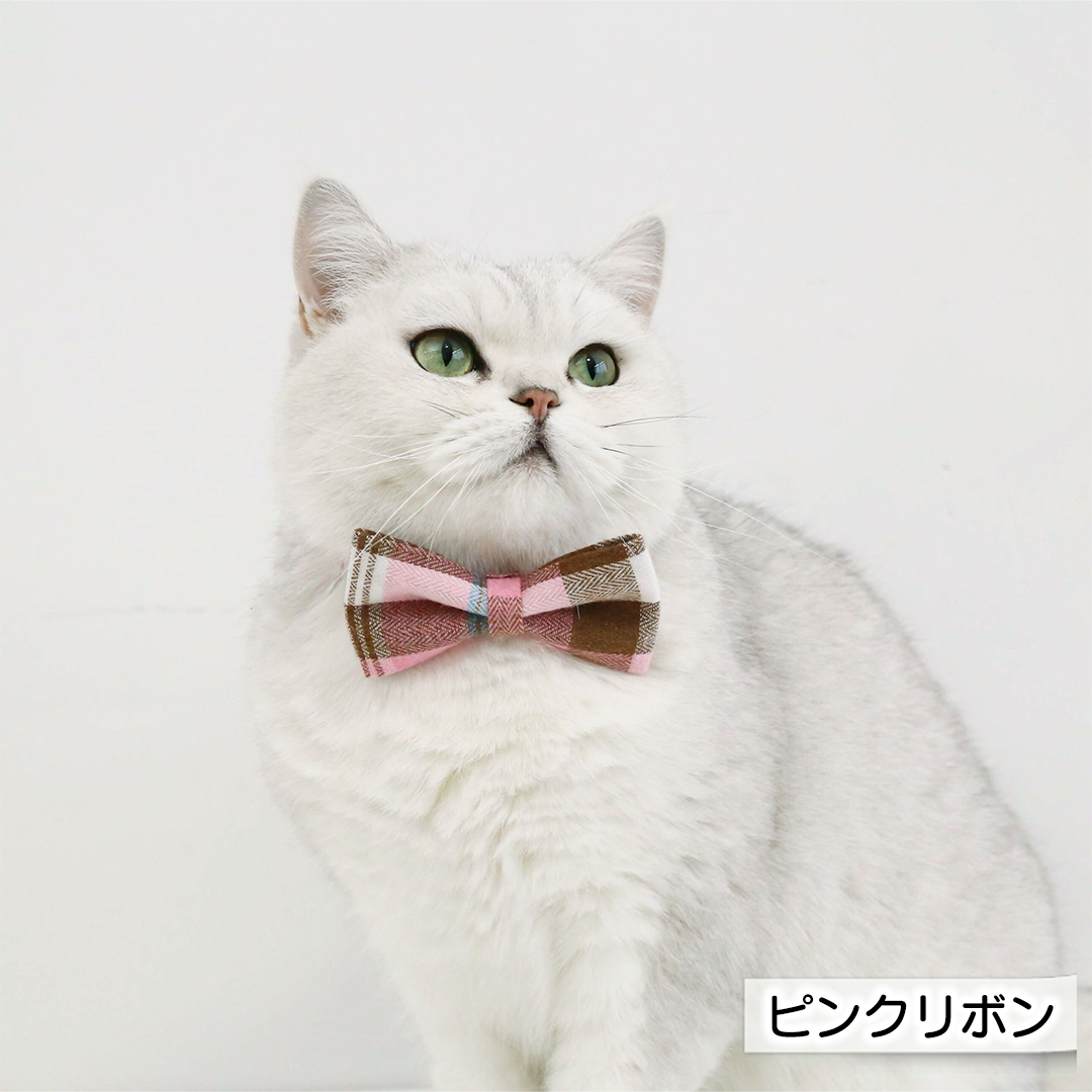 タータンチェックの首輪 2240
