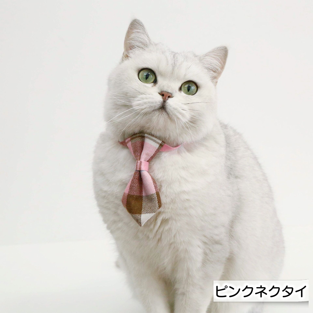 タータンチェックの首輪 2240