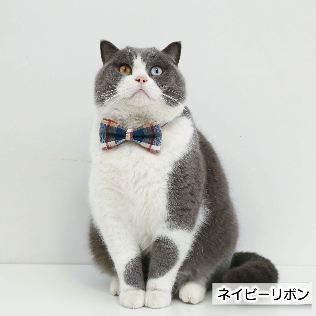 タータンチェックの首輪 2240