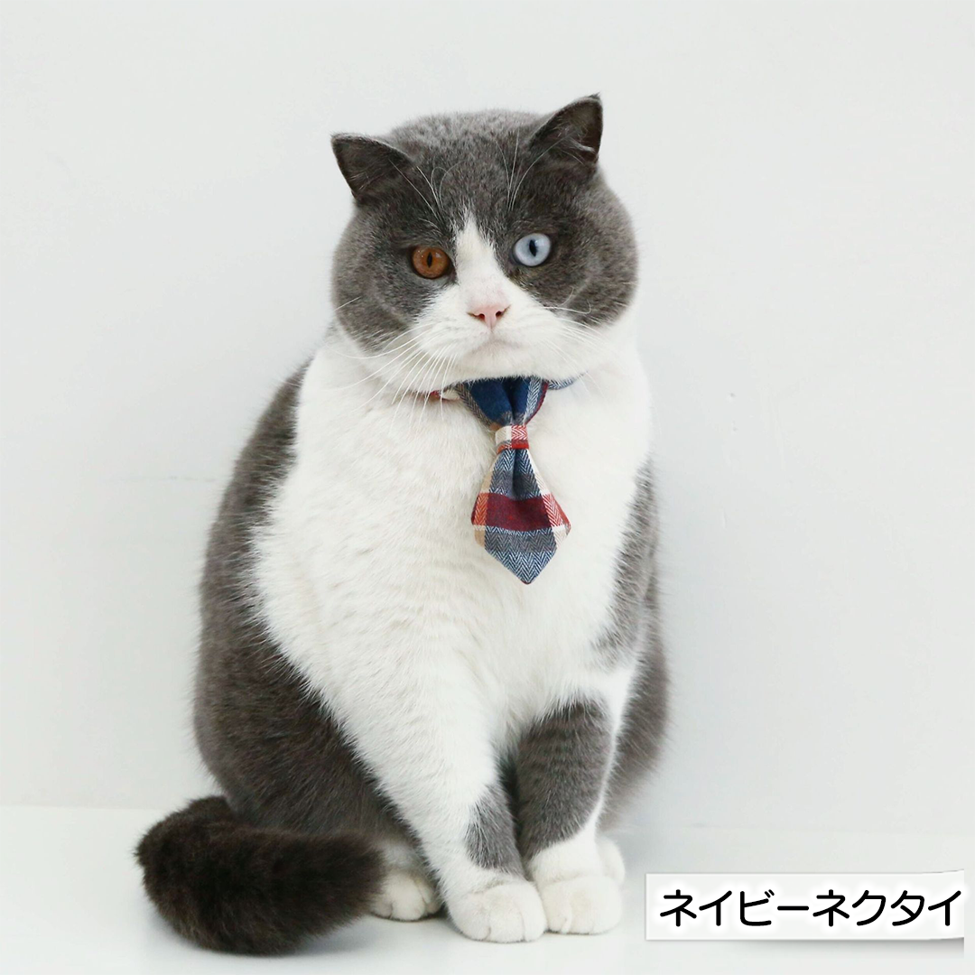 タータンチェックの首輪 2240