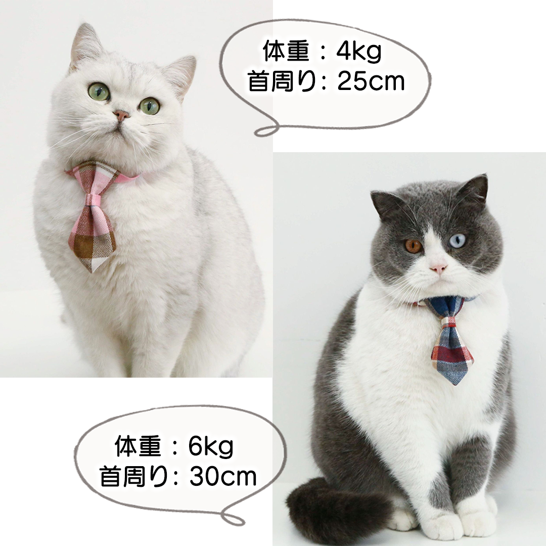 タータンチェックの首輪 2240