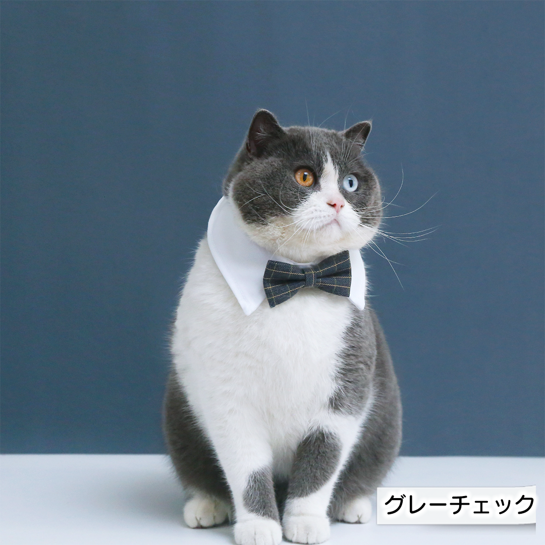 つけ襟蝶ネクタイ 2242