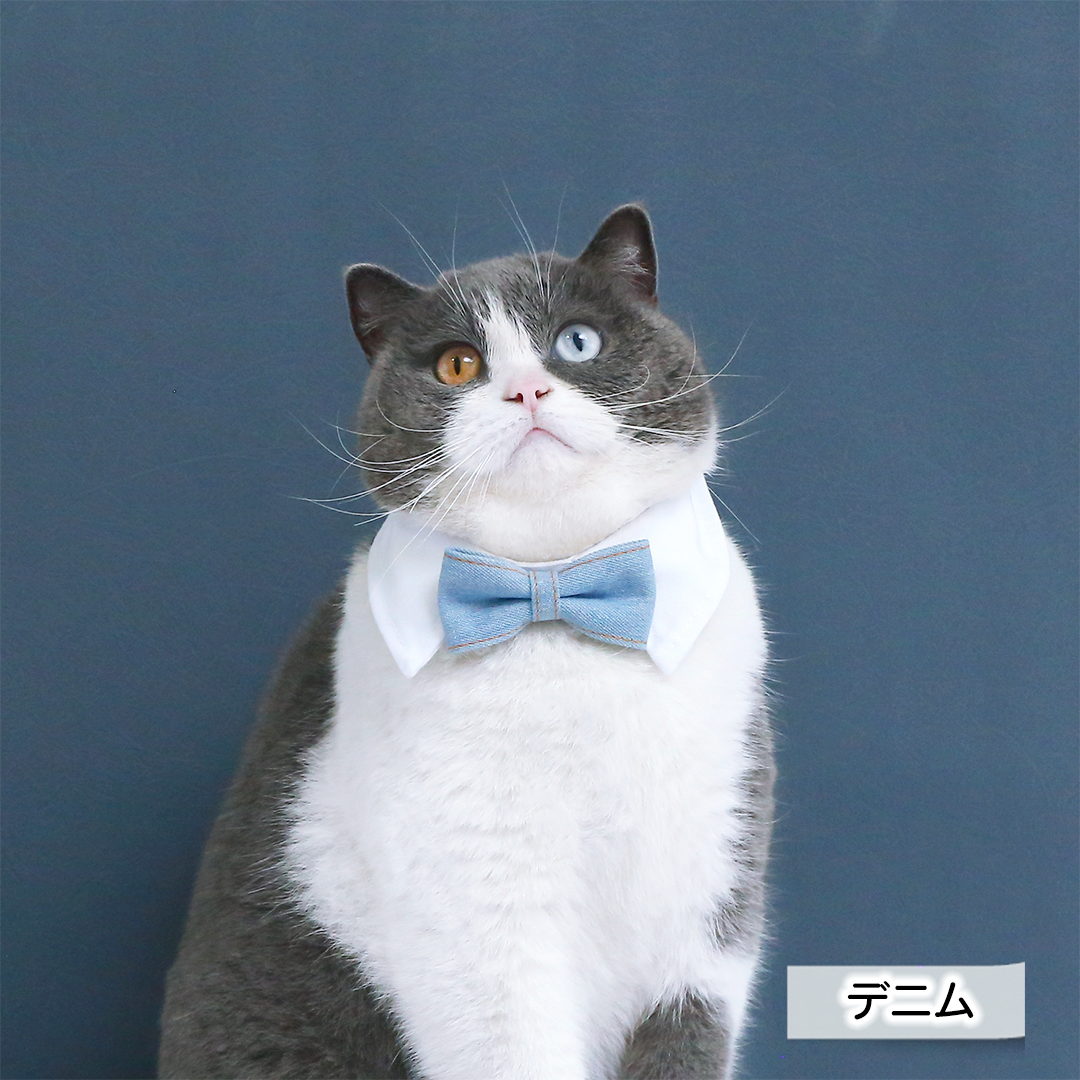 つけ襟蝶ネクタイ 2242
