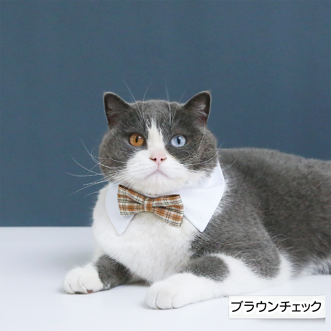 つけ襟蝶ネクタイ 2242