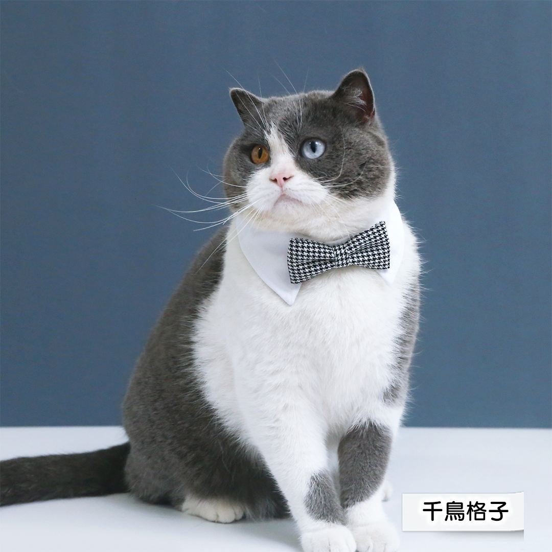 つけ襟蝶ネクタイ 2242