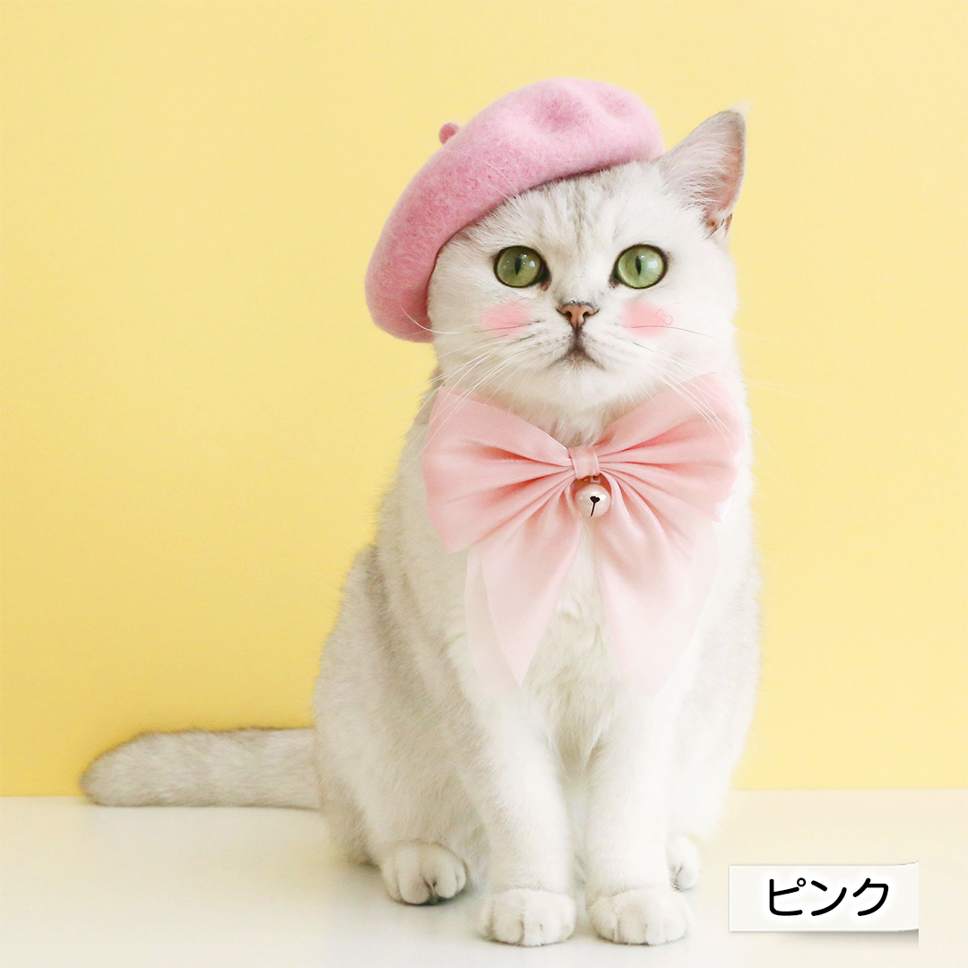 猫ちゃんベレー帽 2243