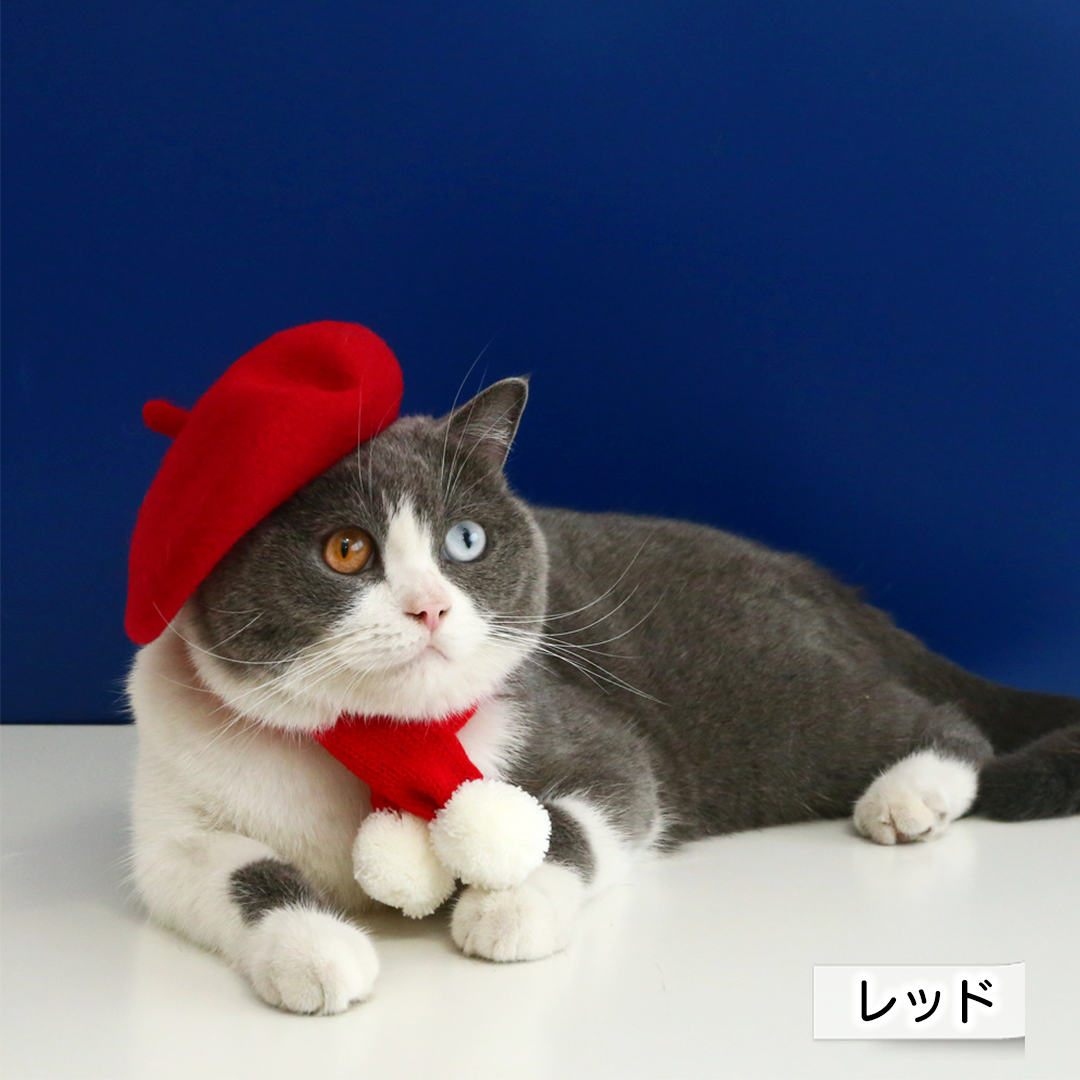 猫ちゃんベレー帽 2243